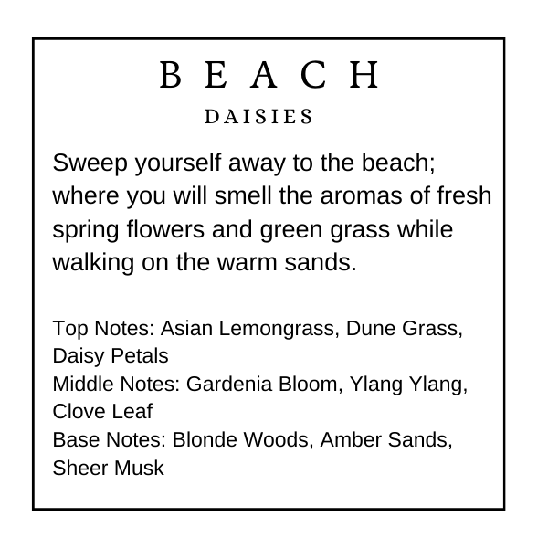 Beach Daisies